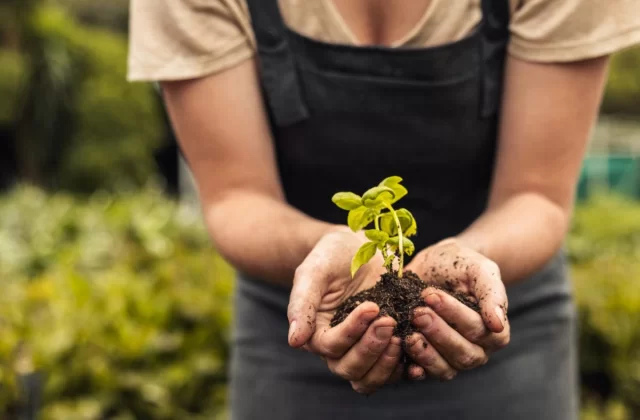 Jak prowadzić biznes i jednocześnie dbać o ekologię i środowisko naturalne?