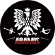 Logo Szkoła Fechtunku Aramis