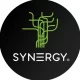 Logo Studio Synergy