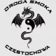 Logo Droga Smoka