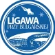 Logo Lodowisko Ligawa