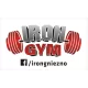 Logo Iron Gym