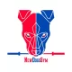 Logo CrossFit New Dogs Gym 