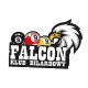 Logo Falcon Klub Bilardowy