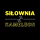 Logo Siłownia Kameleon