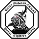 Logo Baltic Fighters