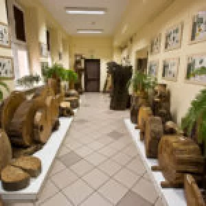 Muzeum Lasu i Drewna