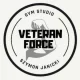 Logo Veteran Force