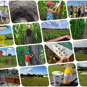 Labirynt Królowej Bony