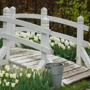 Ogrody Tematyczne Hortulus