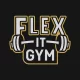 Logo Flex It Gym