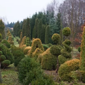 Ogrody Tematyczne Hortulus