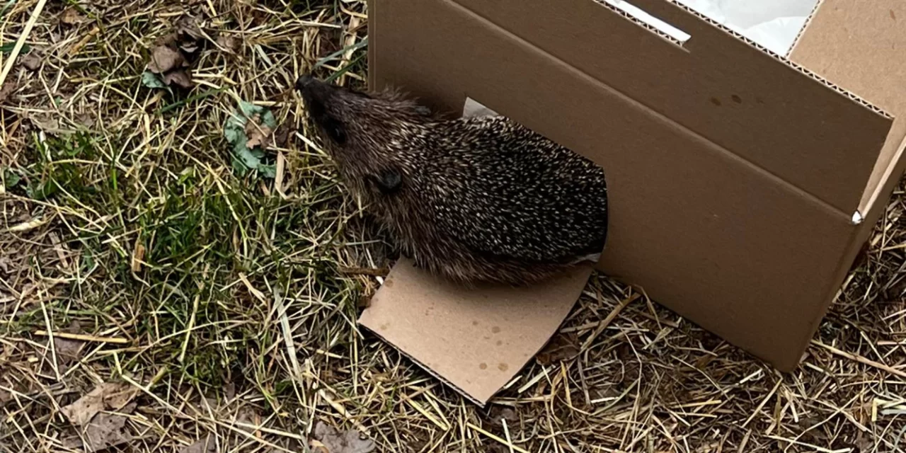 Wizyta w Jeżurkowie