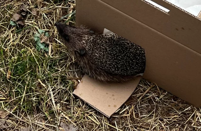 Wizyta w Jeżurkowie