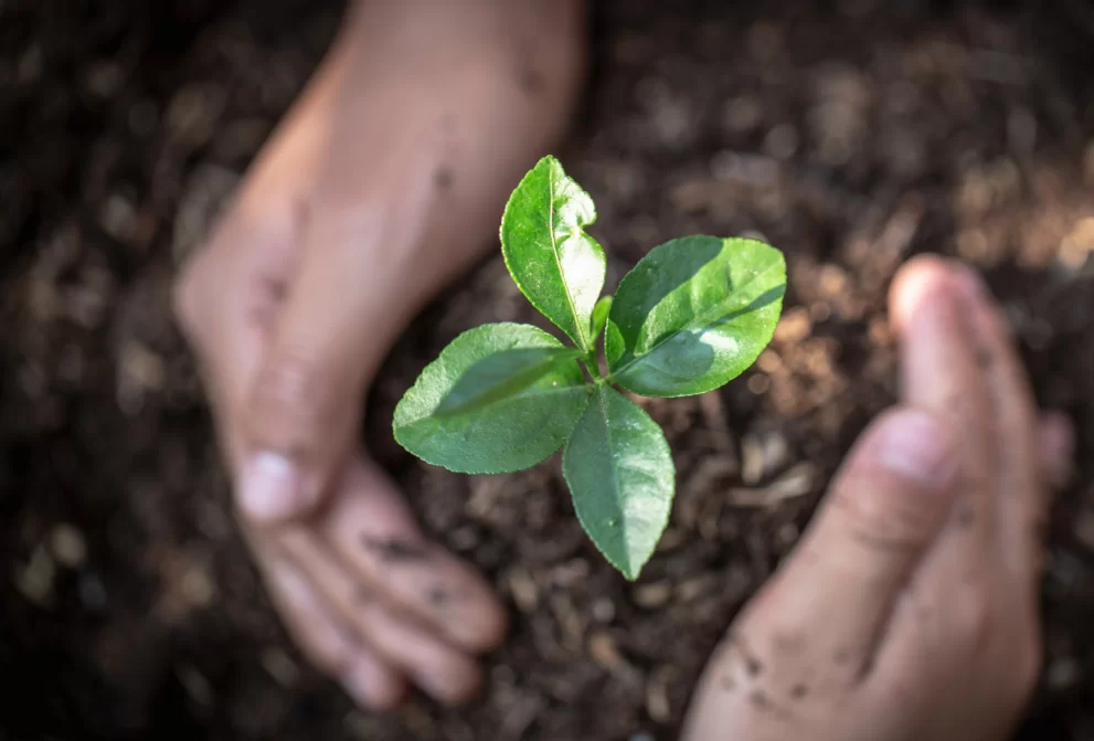 Środowisko naturalne jest dla nas ważne, gdyż wpływa na samopoczucie i dobrostan