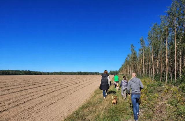 Wsparcie Stowarzyszenia Nasze Cztery Łapy