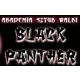 Logo Akademia Sztuk Walki - Black Panther