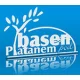 Logo Basen Pod Platanem