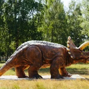 Brzezovka Kompleks Turystyczny