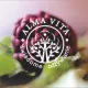 Logo Centrum Alma Vita