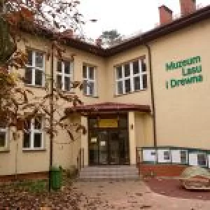 Muzeum Lasu i Drewna