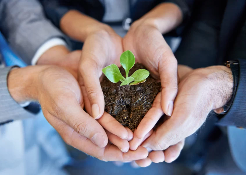 Zadbaj o talenty już na etapie rekrutacji!