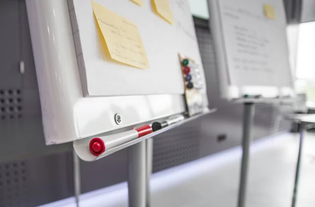 WSPIERANIE ROZWOJU PRACOWNIKÓW W ORGANIZACJI