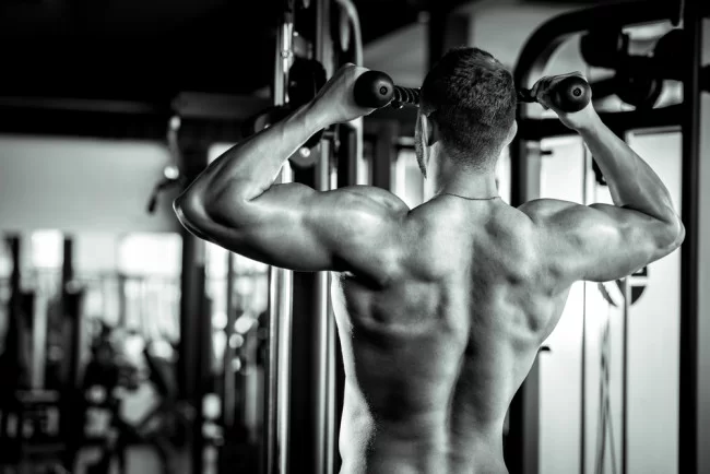 BICEPS I TRICEPS, CZYLI O TRENINGU RAMION