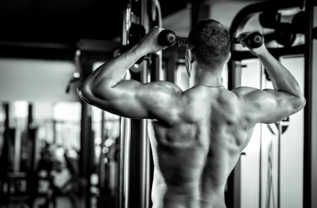 BICEPS I TRICEPS, CZYLI O TRENINGU RAMION