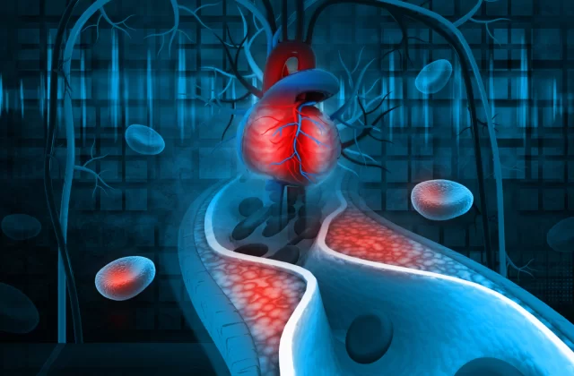 NIE BÓJ SIĘ CHOLESTEROLU! FAKTY I MITY