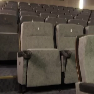 Kino w Rydułtowskim Centrum Kultury „Feniks”