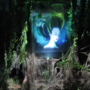 Multimedialnym Muzeum na Klifie