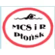 Logo MCSiR