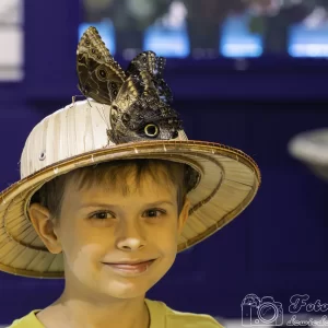 Muzeum Żywych Motyli