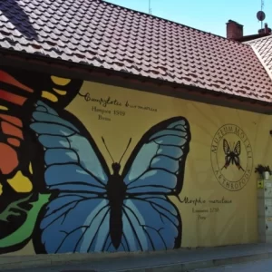 Muzeum Motyli Arthropoda