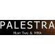 Logo Palestra Muay Thai & Boxing Gym