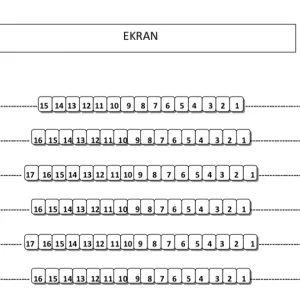 Kino w Rydułtowskim Centrum Kultury „Feniks”