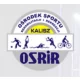 Logo Hala Sportowo-Widowiskowa Arena Kalisz
