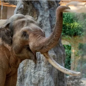 Miejski Ogród Zoologiczny Orientarium Łódź