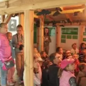 Muzeum Lasu i Drewna