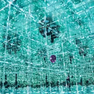 House Of Attractions