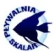 Logo OSiR Ursus-Pływalnia Skalar