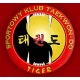 Logo Sportowy Klub Taekwon-Do Tiger