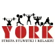 Logo York- Strefa Sylwetki i Relaksu