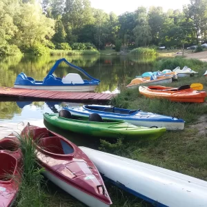 Wypożyczalnia Delfinek